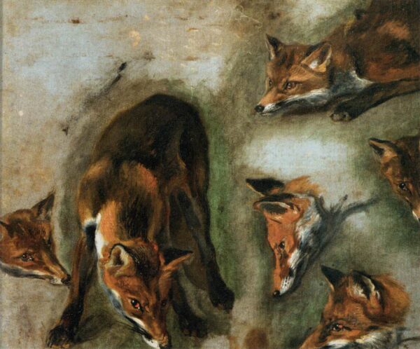 Studies of a Fox by Pieter Boel, hand-painted oil painting reproduction