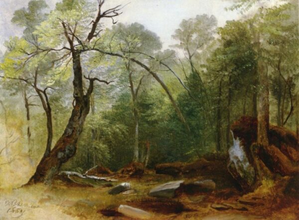 Study in the Woods by Asher B. Durand, hand-painted oil reproduction