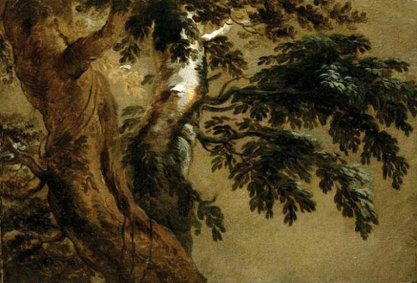 Study of Two Trees by Alexandre Francois Desportes, hand-painted oil painting reproduction