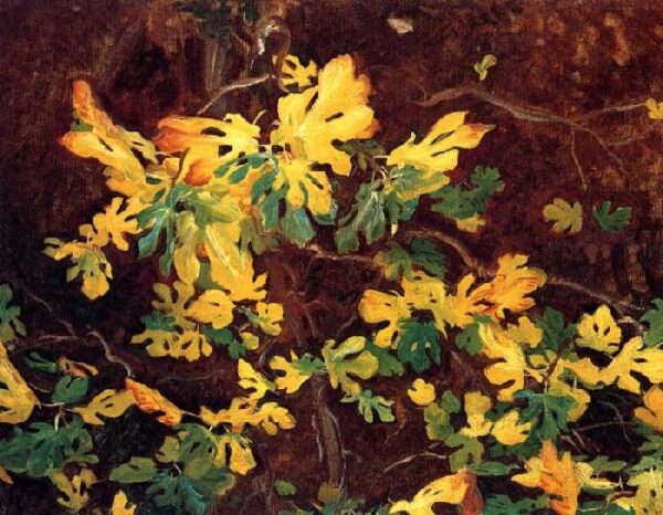 Study of a Fig Tree by John Singer Sargent, hand-painted oil painting reproduction