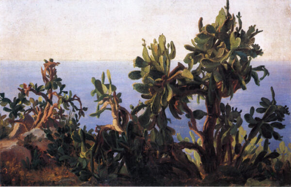 Study of a Prickly Pear by Thomas Fearnley, hand-painted oil painting reproduction