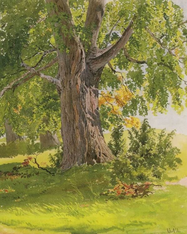 Sunny Oak by Ivan Shishkin, hand-painted oil painting reproduction