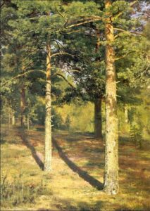 Sunny Pine Tree by Ivan Shishkin, hand-painted oil painting reproduction