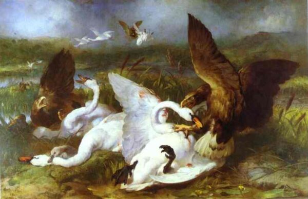 Swannery Invaded By Eagles by Sir Edwin Landseer, hand-painted oil painting reproduction