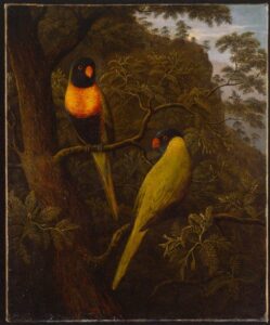 Blue Mountain Parrots from Sydney by John Glover, hand-painted oil painting reproduction
