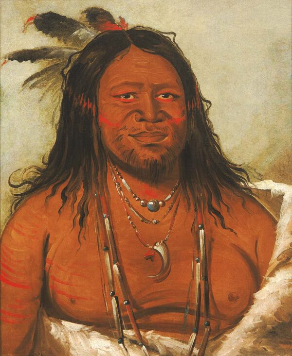 Ta wah que nah, Mountain of Rocks, Second Chief of the Tribe by George Catlin, hand-painted oil painting reproduction