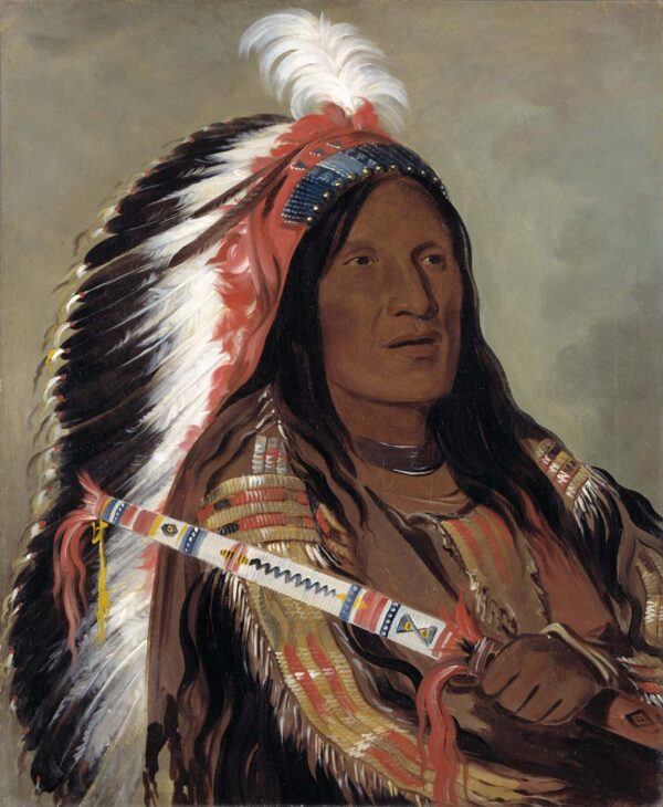 Tah teck a da hair, Steep Wind, a Brave of the Bad Arrow Points Band by George Catlin, hand-painted oil painting reproduction