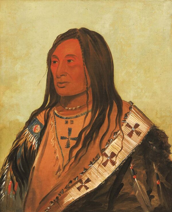 Tah zee keh da cha, Torn Belly, a Distinguished Brave by George Catlin, hand-painted oil painting reproduction