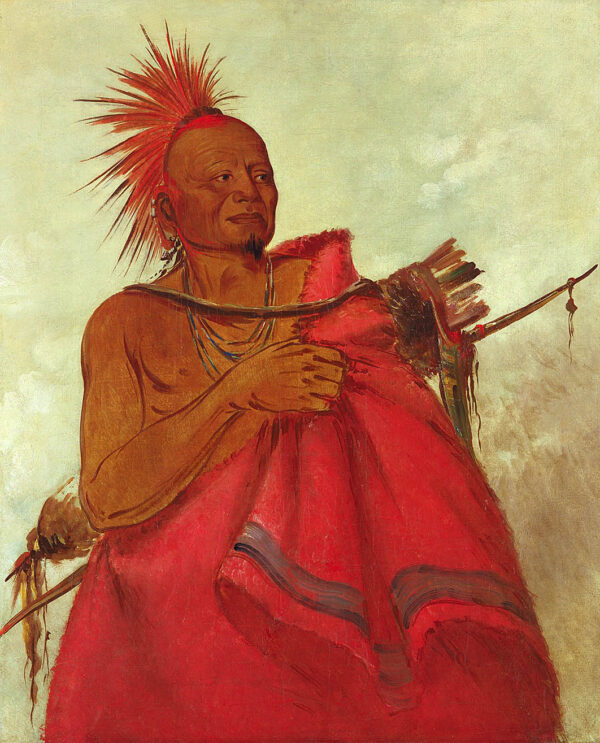 Tcha to ga, Mad Buffalo, Murderer of Two White Men by George Catlin, hand-painted oil painting reproduction