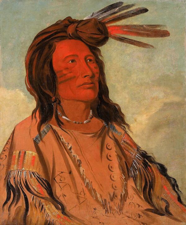 Tchan dee, Tobacco, an Oglala Chief by George Catlin, hand-painted oil painting reproduction