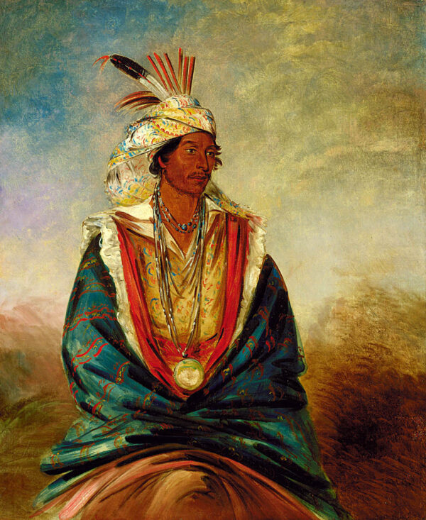 Tel maz ha za, a Warrior of Distinction by George Catlin, hand-painted oil painting reproduction