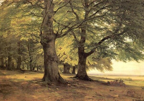 Tevtoburgsky Forest by Ivan Shishkin, hand-painted oil painting reproduction