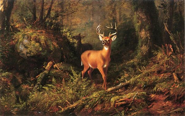 The Adirondacks by Arthur Fitzwilliam Tait, hand-painted oil painting reproduction