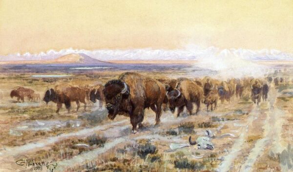 The Bison Trail by Charles Marion Russell, hand-painted oil painting reproduction