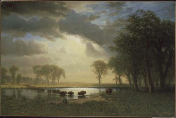 The Buffalo Trail by Albert Bierstadt, hand-painted oil painting reproduction