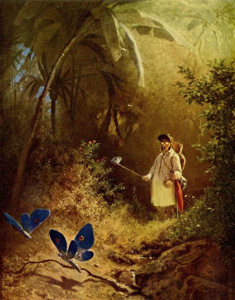 The Butterfly Catcher by Carl Spitzweg, hand-painted oil reproduction