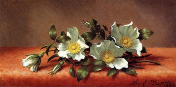 The Cherokee Rose by Martin Johnson Heade, hand-painted oil painting reproduction