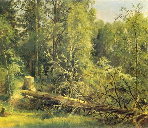 The Chopped Tree by Ivan Shishkin, hand-painted oil painting reproduction