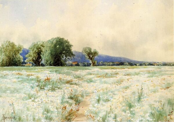 The Daisy Field by Alfred Thompson Bricher, hand-painted oil painting reproduction