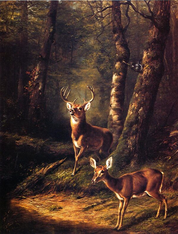 The Forest – Adirondacks by Arthur Fitzwilliam Tait, hand-painted oil painting reproduction