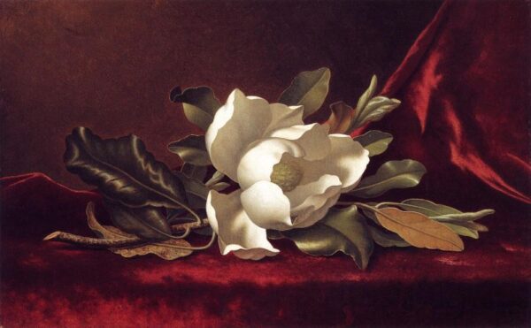 The Magnolia Blossom by Martin Johnson Heade, hand-painted oil painting reproduction