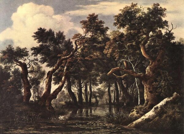 The Marsh in a Forest by Jacob Isaackszoon van Ruisdael, hand-painted oil painting reproduction