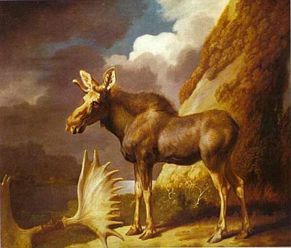 The Moose by George Stubbs, hand-painted oil painting reproduction