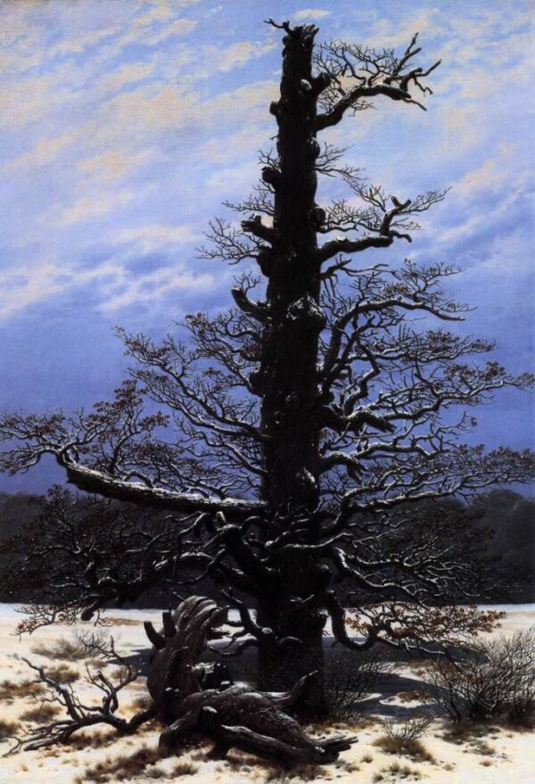 The Oaktree in the Snow by Caspar David Friedrich, hand-painted oil painting reproduction