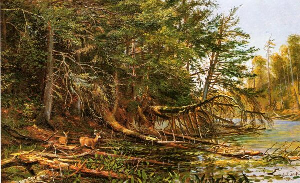 The Outlet of St. Regis Lake by Arthur Fitzwilliam Tait, hand-painted oil painting reproduction