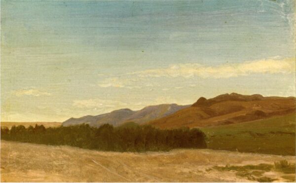 The Plains Near Fort Laramie by Albert Bierstadt, hand-painted oil painting reproduction