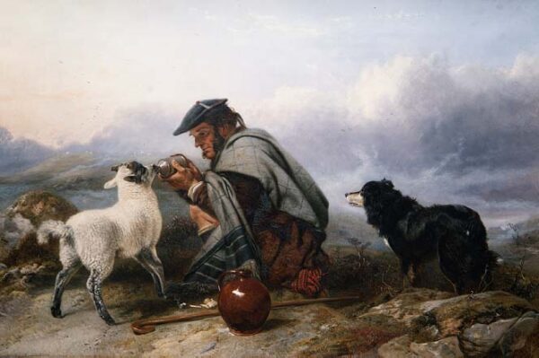 The Sick Lamb 1853 by Richard Ansdell, hand-painted oil painting reproduction