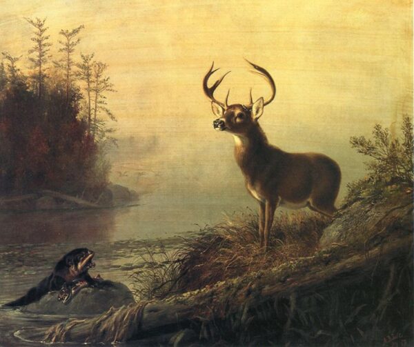 The Surprise by Arthur Fitzwilliam Tait, hand-painted oil painting reproduction