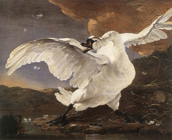 The Threatened Swan by Jan Asselyn, hand-painted oil painting reproduction