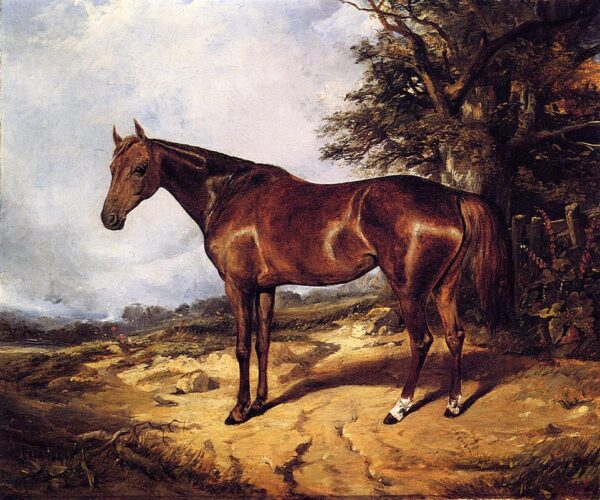 Thoroughbred by Arthur Fitzwilliam Tait, hand-painted oil painting reproduction