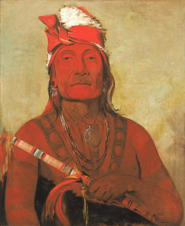 Toh ki e to, Stone With Horns, a Chief by George Catlin, hand-painted oil painting reproduction