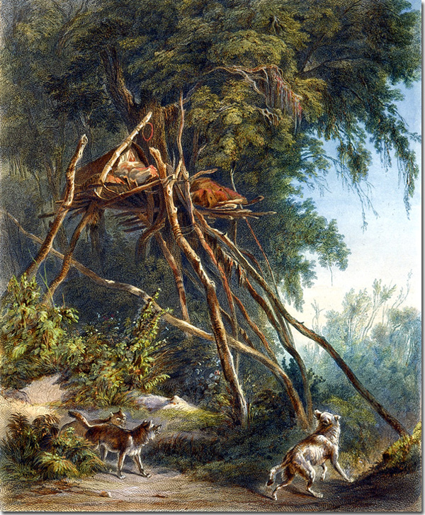 Tombs of Assiniboin Indiands on Trees by Karl Bodmer, hand-painted oil reproduction