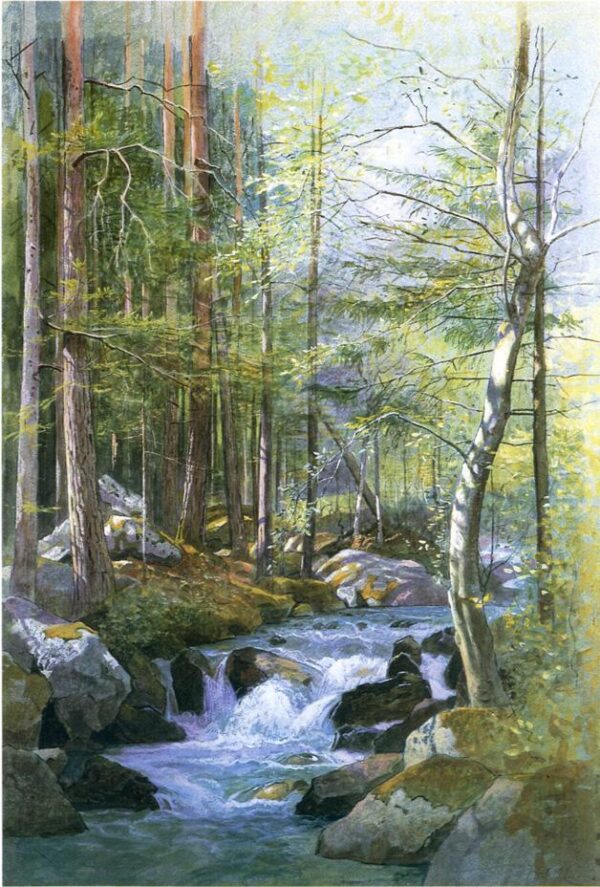 Torrent in Wood behind Mill Dam, Vahrn near Brixen, Tyrol by William Stanley Haseltine, hand-painted oil painting reproduction