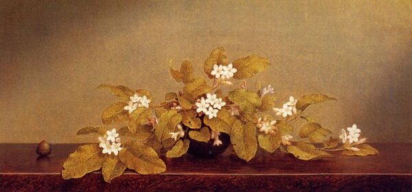 Trailing Arbutis by Martin Johnson Heade, hand-painted oil painting reproduction