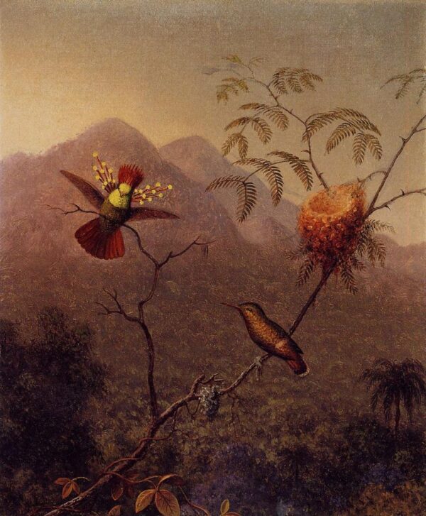 Tufted Coquette by Martin Johnson Heade, hand-painted oil painting reproduction