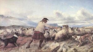 Turning the Drove by Richard Ansdell, hand-painted oil painting reproduction