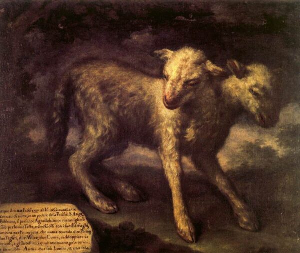 Two-Headed Lamb by Bartilomo Bimbi, hand-painted oil painting reproduction