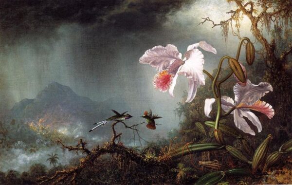 Two Fighting Hummingbirds with Two Orchids by Martin Johnson Heade, hand-painted oil reproduction
