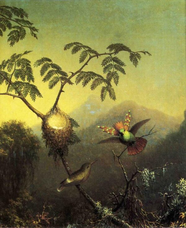 Two Hummingbirds – Tufted Coquettes by Martin Johnson Heade, hand-painted oil painting reproduction