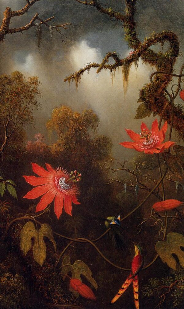 Two Hummingbirds Perched on Passion Flower Vines by Martin Johnson Heade, hand-painted oil painting reproduction