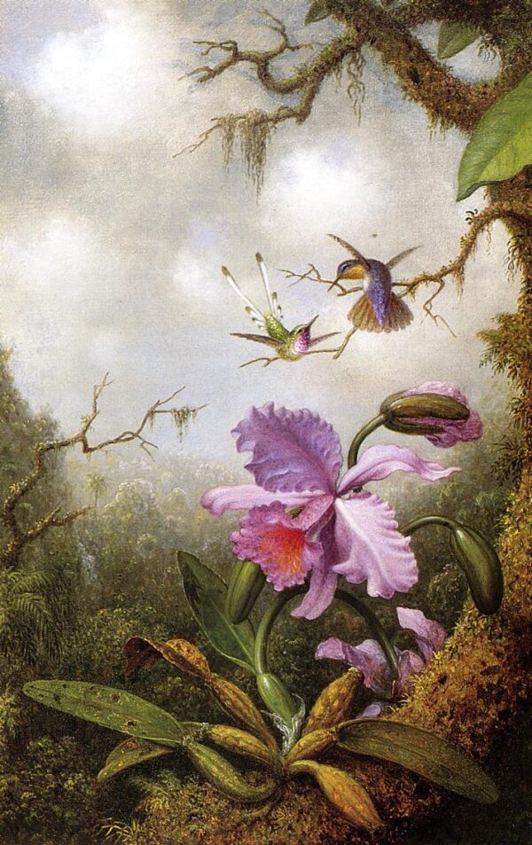 Two Hummingbirds and a Pink Orchid by Martin Johnson Heade, hand-painted oil painting reproduction