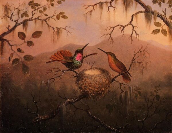 Two Hummingbirds at a Nest by Martin Johnson Heade, hand-painted oil painting reproduction