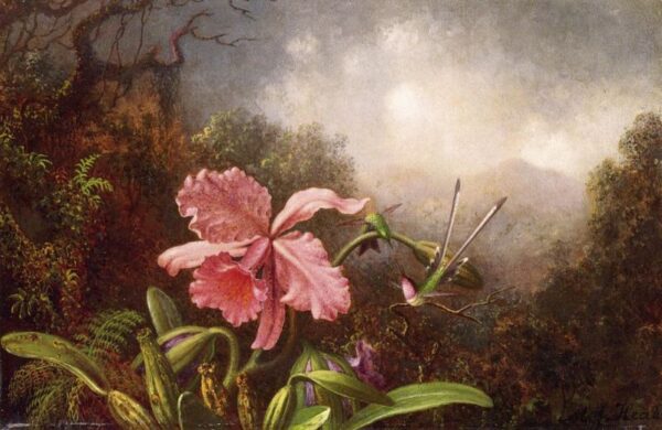 Two Hummingbirds by an Orchid by Martin Johnson Heade, hand-painted oil painting reproduction