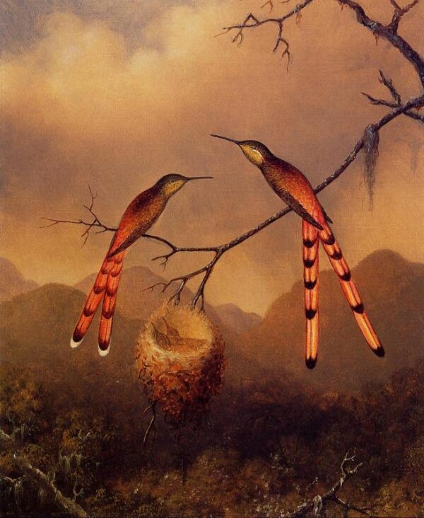 Two Hummingbirds with Their Young by Martin Johnson Heade, hand-painted oil painting reproduction