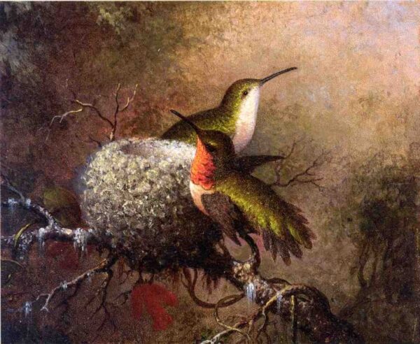 Two Ruby Throats by their Nest by Martin Johnson Heade, hand-painted oil painting reproduction
