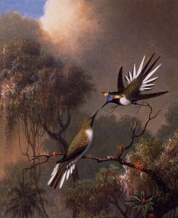 Two Sun Gems on a Branch by Martin Johnson Heade, hand-painted oil painting reproduction